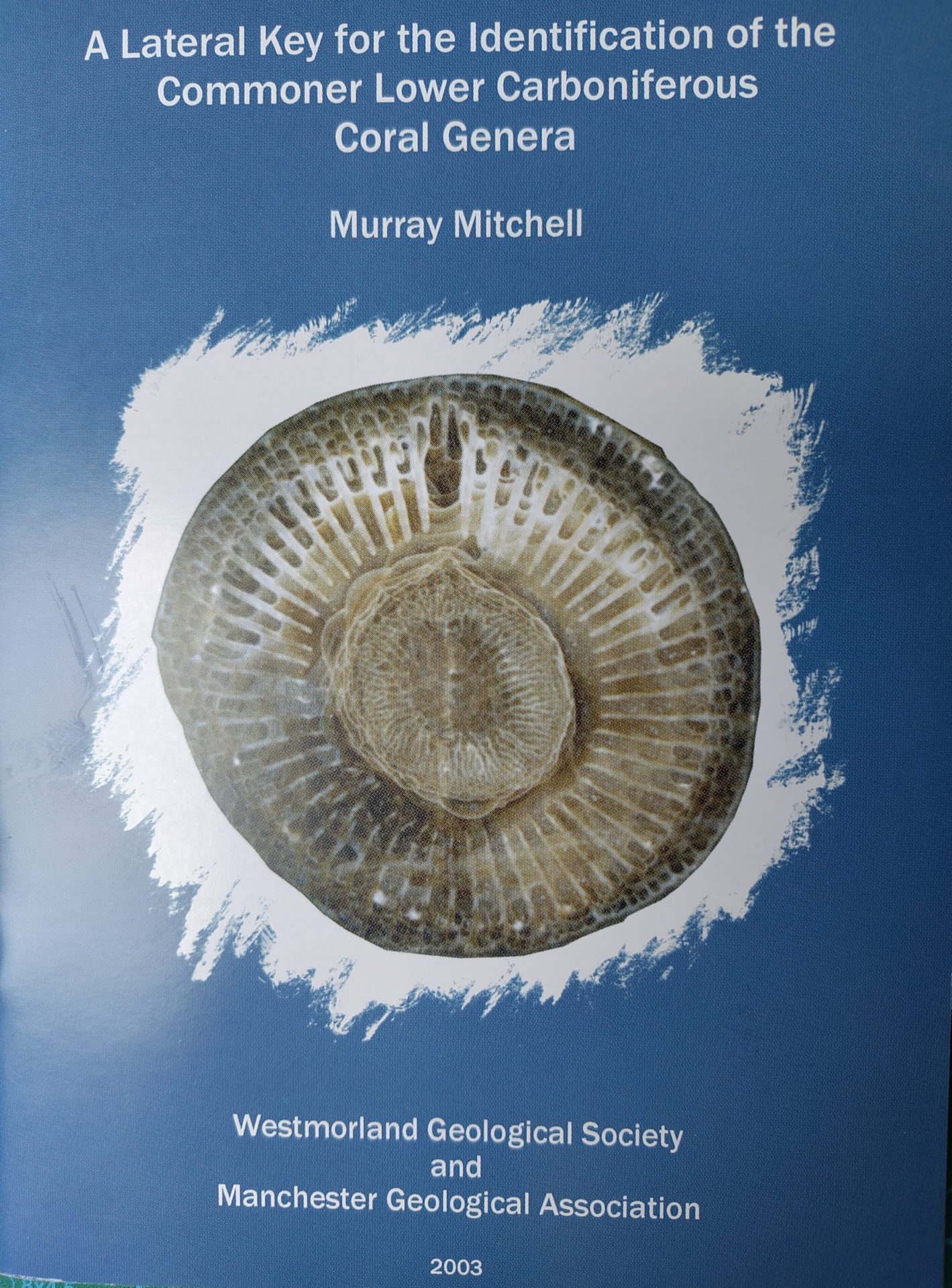 Lower Carboniferous corals